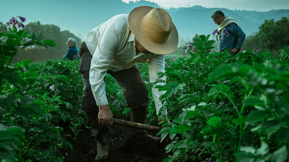 Capacitaciones-para-Impulsar-la-Competitividad-y-Sostenibilidad-Agrícola