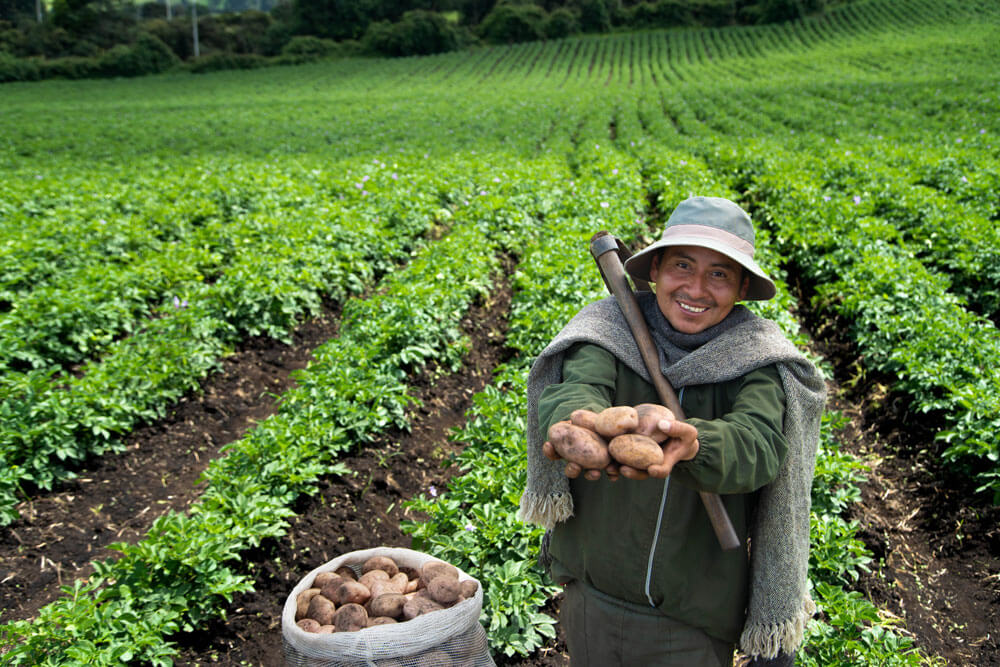 Impacto-Positivo-en-la-Agricultura-Más-de-48-Mil-Productores-Beneficiados